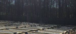 The Islamic Cemetery in Charlotte, NC